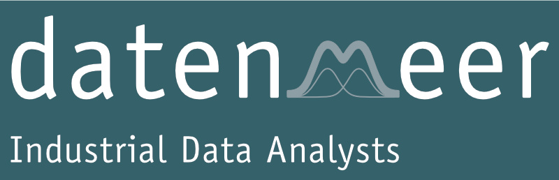 Logo Datenmeer (invertiert)
